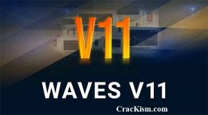 waves v12 crack