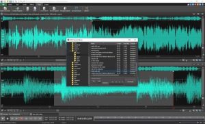 WavePad Sound Editor 12.96 Crack with Registration Code (2021)