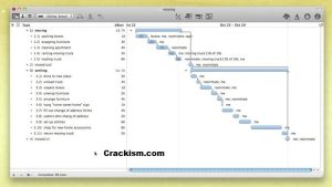 OmniPlan Pro 4.5.5 Crack + License Key (macOS) Full Version